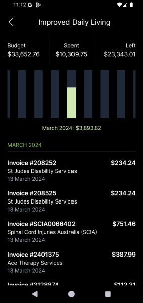 Budget transactions